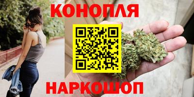 прущие грибы Балаково